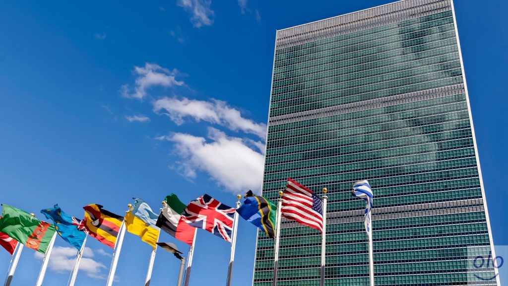 United Nations Interview Coaching